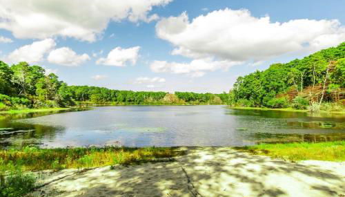 Full Sand Volleyball Court Walk to Pond - Foto 2