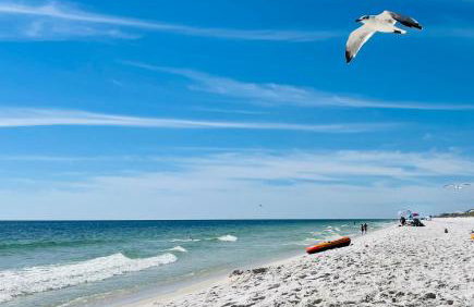 Navarre Bayhouse Retreat - Foto 53