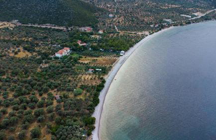 Manto Studios - Photo 28