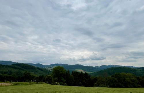 Ferienhaus am Vogelsang - Foto 19