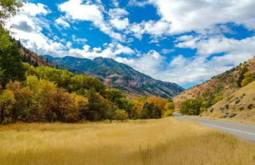 7 Bed 5 Bath Vacation home in Fish Haven - Foto 39