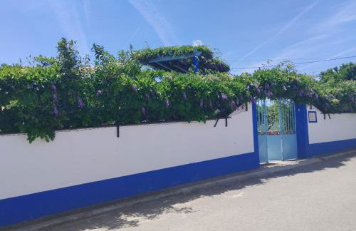 Casa dos Avós - Foto 9