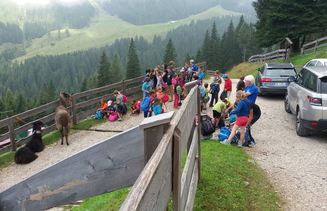 Chalet nel Doch - Foto 31