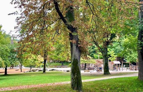 -Am Pfühlpark- Ferienwohnung - Foto 40