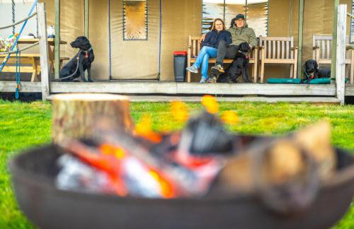 Linnet - Sweffling Hall - Foto 21