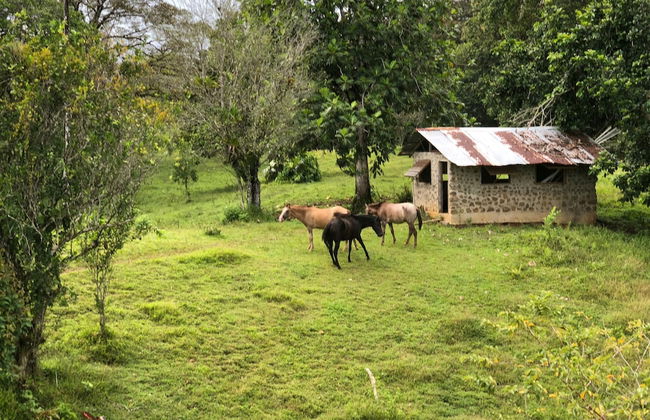 Casa Piedra - Foto 17