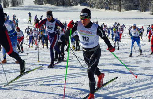 La Clé des Champs - Foto 16