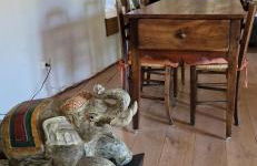 La maison du vigneron - Foto 25