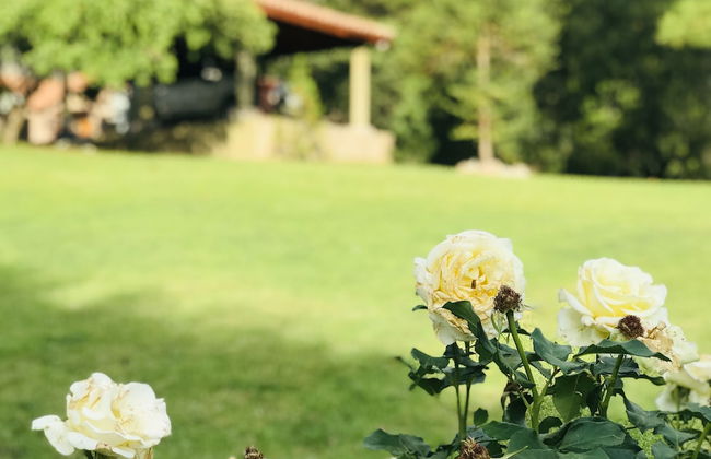 Casa Chumamaya - Photo 22