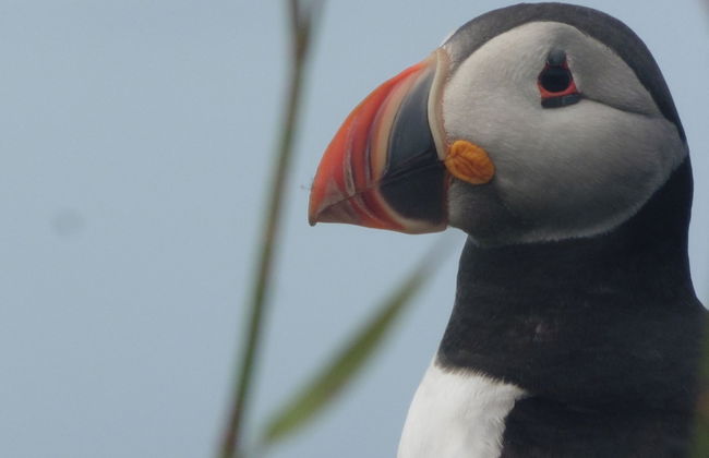 Belmont Chapel Cottage - Photo 10
