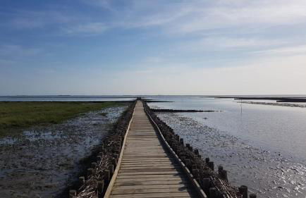 Ferienhaus Hoddebüll nah an der Nordsee - Foto 42