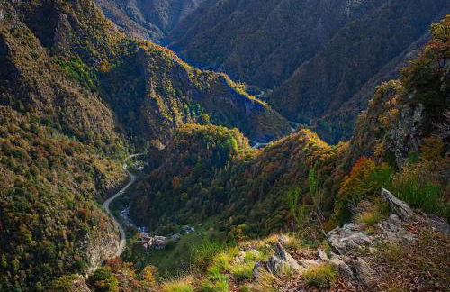 Stones and Pines - Foto 14