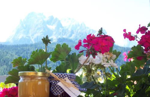 Obersanterhof - Foto 14