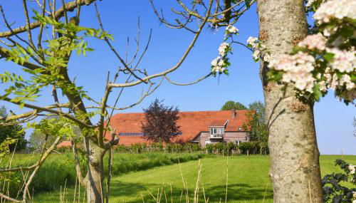 Ferienwohnungen auf dem Ferienhof an der Schafweide - Photo 2