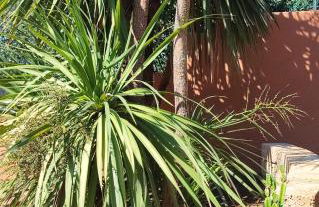 Domu Abba&Chelu - Foto 25