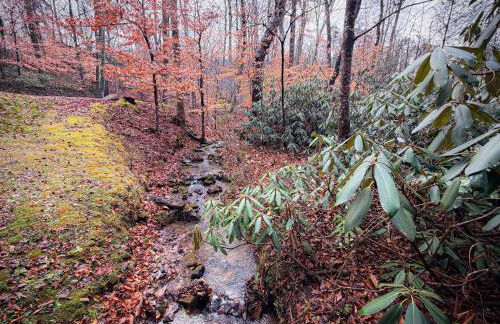 Cabin at Walland Forest - Foto 22