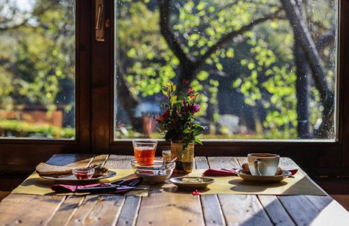 Bio-Agriturismo La Ginestra - Foto 7