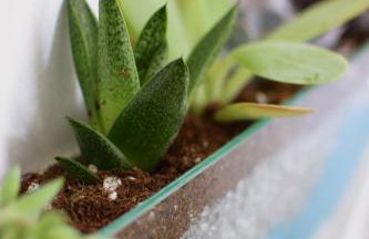 Petite palace - Foto 10