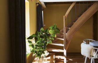 Flecksches Gut - Foto 34