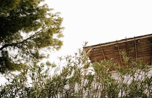 Casette Masseria La Camardia - Foto 9