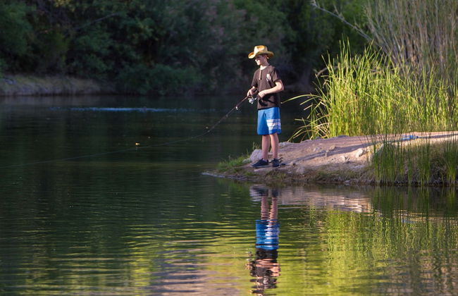 Tanque Verde Ranch - Photo 50
