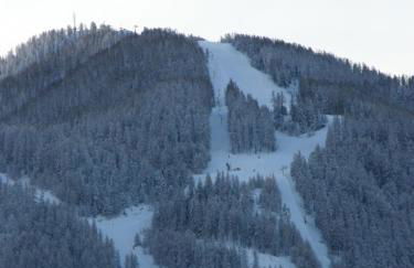 Résidence - Gite La Mourée - Foto 37