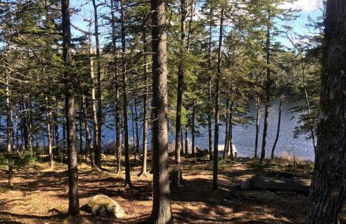 Secluded, Dog-Friendly Lakefront Cabin on Pristine Lake, Maine, for Wonderfully Romantic Getaways to Nature - Foto 8