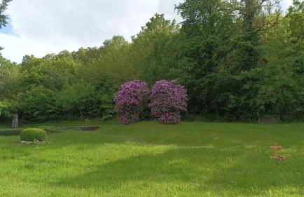 Beletage Alte Villa Jünkerath - Foto 8