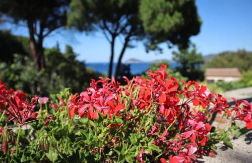 Casa del Mare - Oasi verde a soli 100m dal mare! - Foto 9