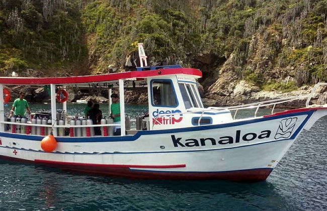 Arraial do Cabo Diving Introduction - Photo 1