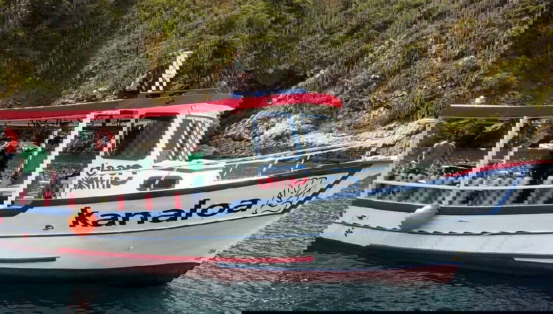 Arraial do Cabo Diving Introduction - Foto 1