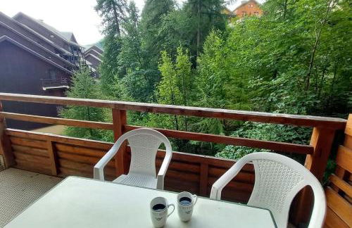 T2 cosy à 2 schuss des pistes - Foto 18