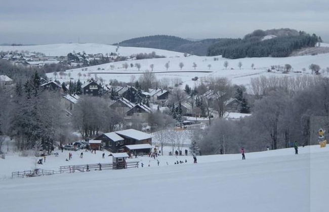 Cosy Holiday Home in Willingen-usseln With Terrace - Photo 17