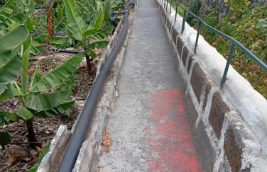 La Estrella - Foto 33