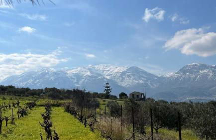 Manousos Guest House - Foto 36