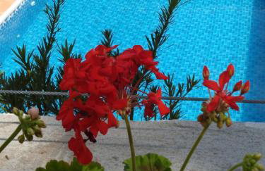 CHALÉ DO VALE - EXCLUSIVIDADE E CONFORTO!! - Foto 20