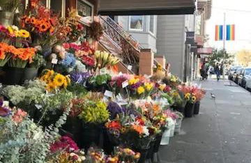 Totally Renovated Victorian House in Center SF! - Foto 53