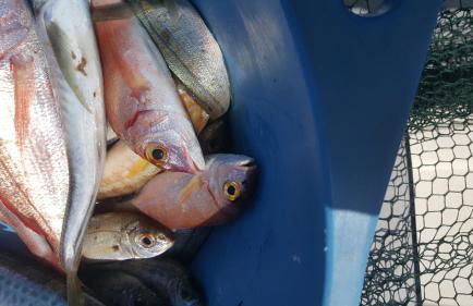 Casa Vacanze " IS MERIS " - Foto 42