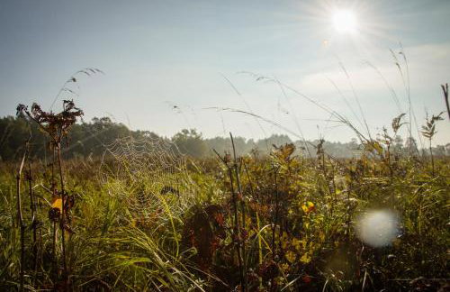 Chatka w lesie - Foto 37