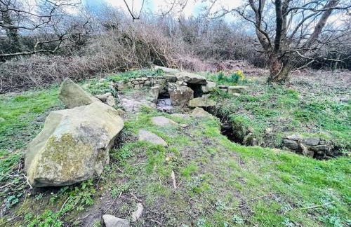 The Hut@Trefechan Wen - Coastal Coziness! - Photo 73