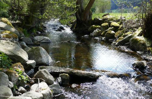 Ferienhaus Junge Ruhr - Foto 44