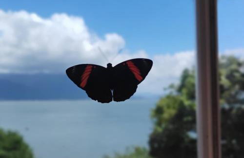 Xiru do Ribeirão - Sea front, forest back - 15 min airport - Foto 22