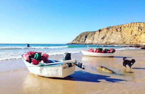 Amarguinha - Foto 19