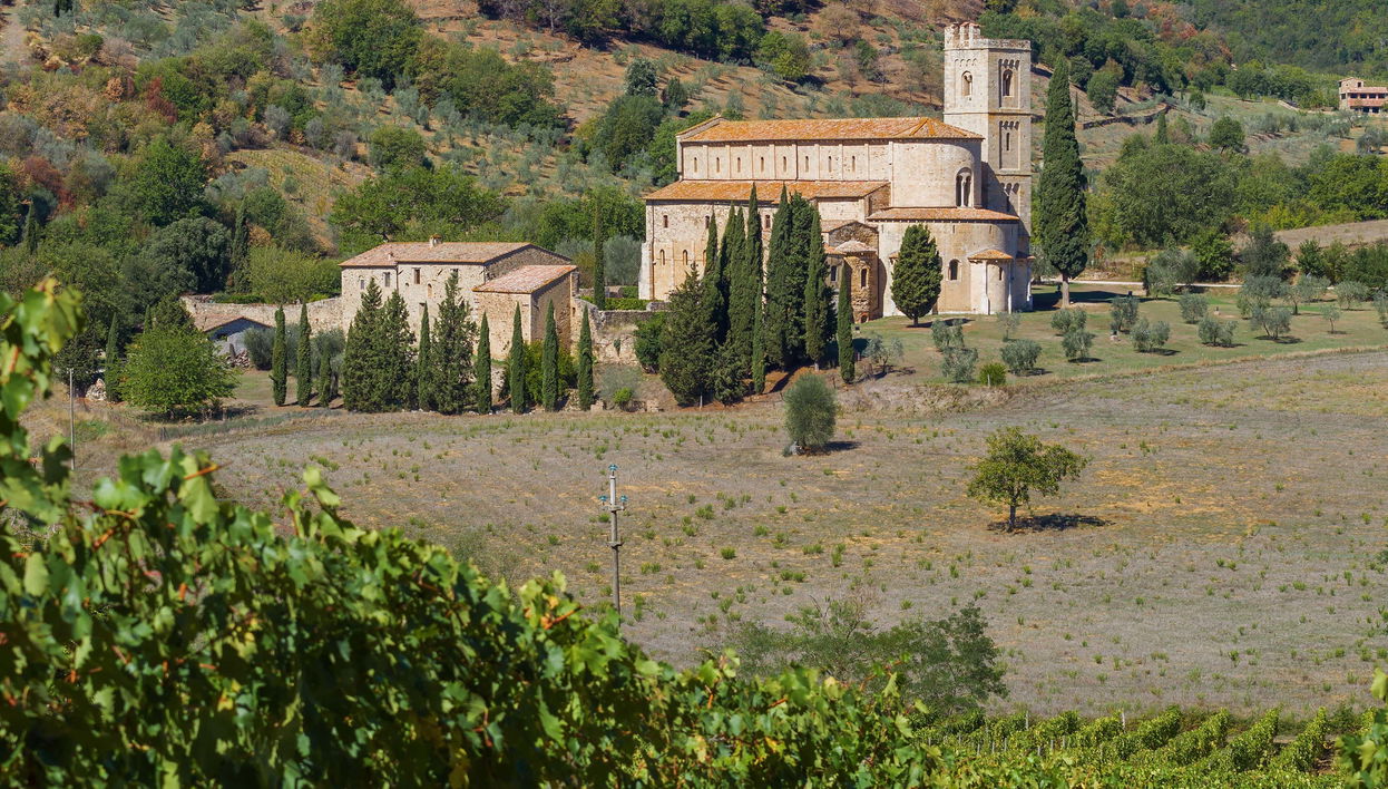 Tour privato di Montalcino e dell'Abbazia di Sant’Antimo