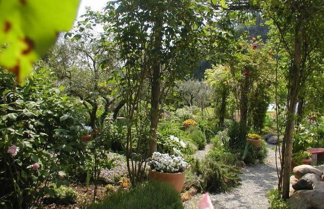 Adorable Tuscan Cottage With Beautiful Garden Just Outside Lucca, Sleeps 2 - Foto 13