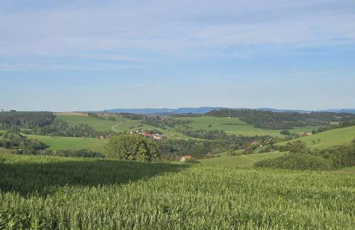 Ferienhaus am Gupfen - Foto 23