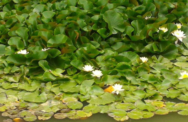 Turbaza Serebryany Klyuch - Photo 38