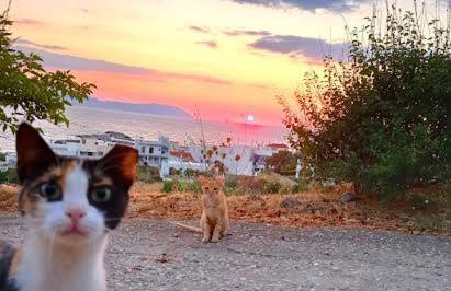 Evangelia House Sea View Apartments - Foto 37