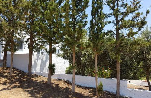Villa Emilia Agia Pelagia with Heated Pool - Photo 21