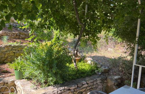 Apartments Despotović - Photo 11